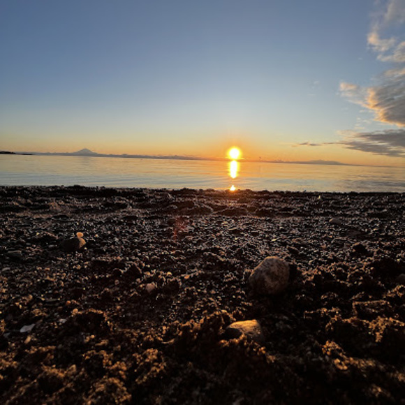 Meet your Posher, Layla - Picture 1 of 1